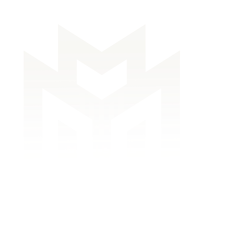 Logo Website
